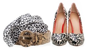 Animal Print Scarf and Shoes